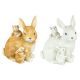 Bunny Rabbit and Kits Tabletop 2 Ast